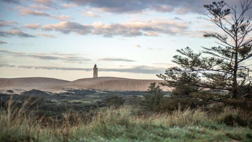 Natur og Rubjerg Knude