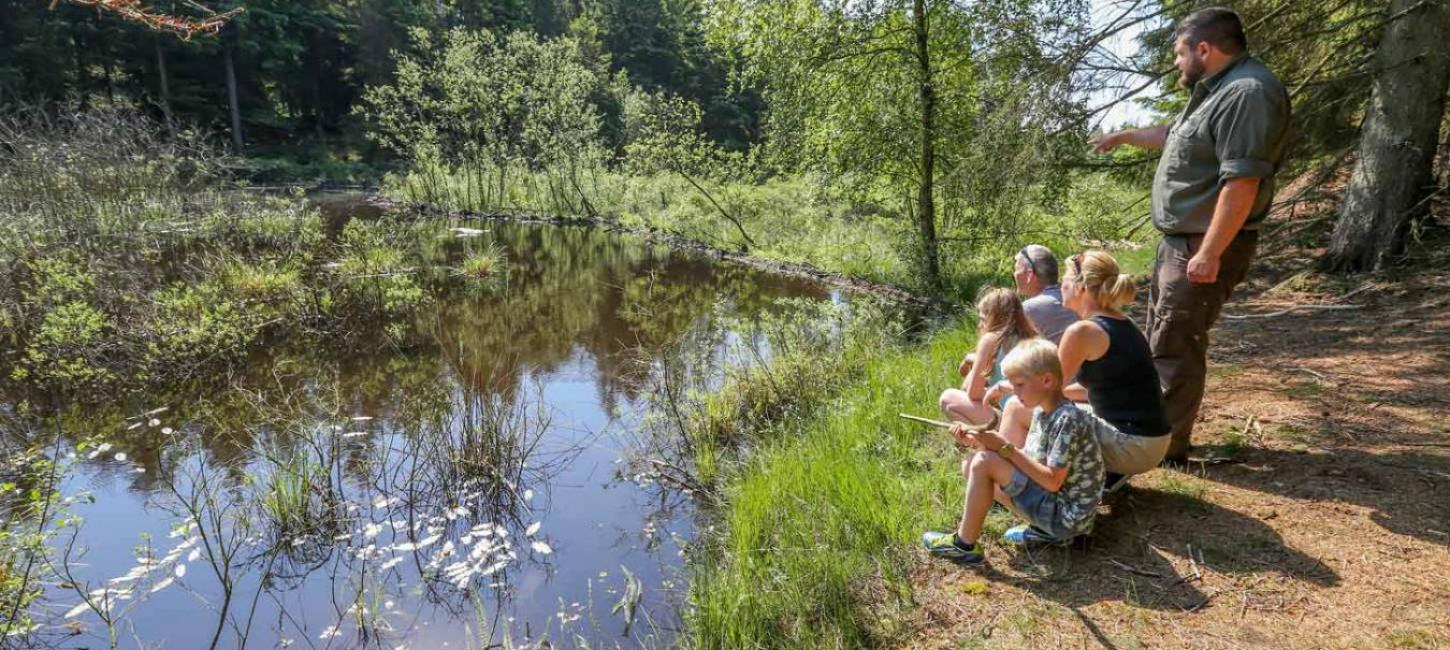 Bæverformidling i Klosterheden