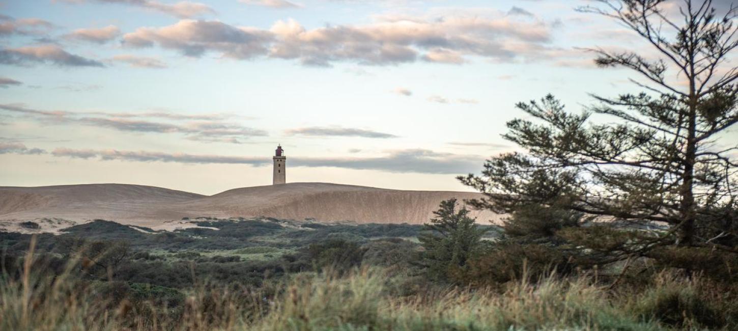 Rubjerg Knude