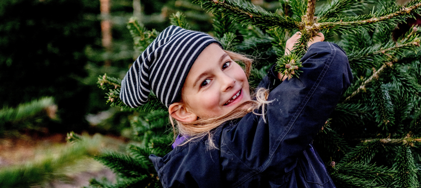 Jul ved Nordvestkysten