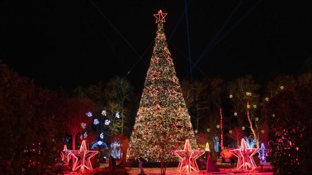 Skulpturparken Blokhus_jul