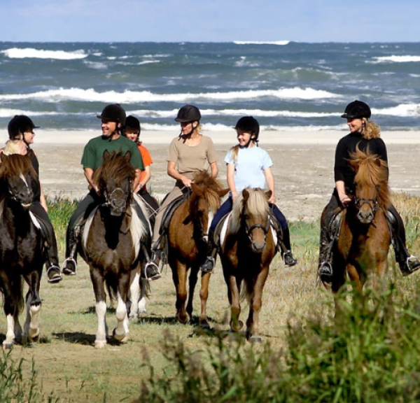 Ridesenter Skallerup Seaside Resort, Hester på stranden
