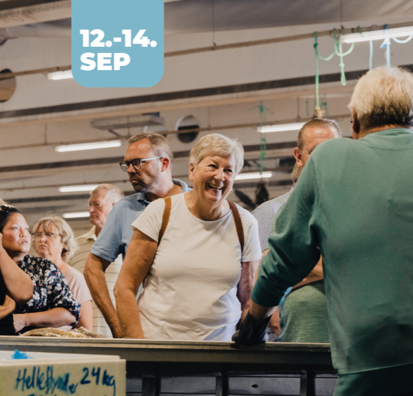 Hook & Cook_Fisken på disken_2025