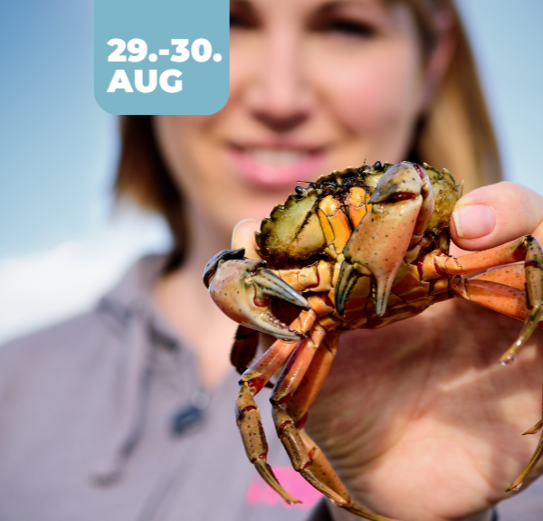 Hook & Cook_Krabbefestival i Lemvig_2025