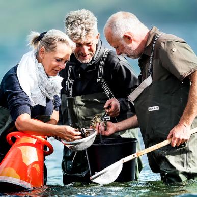 Østerssafari Jyllandsakvariet