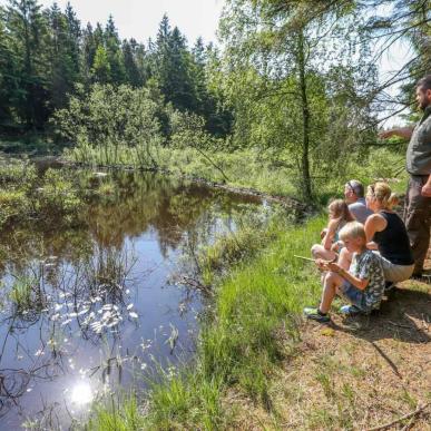 Bæverformidling i Klosterheden