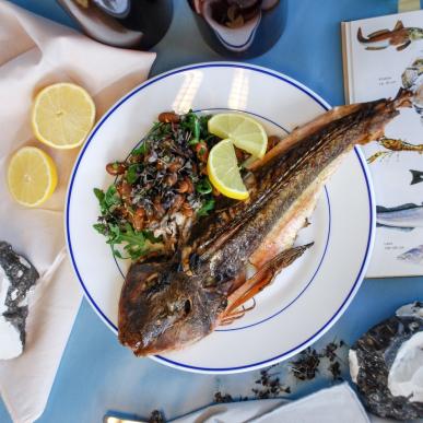 Fisk hos Medvind