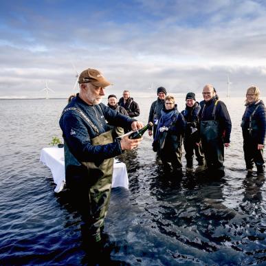 Østerssafari med Jyllandsakvariet