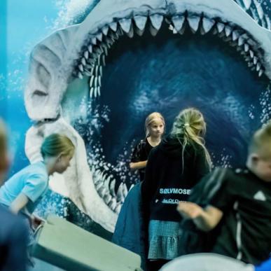 Nordsøen Oceanarium 