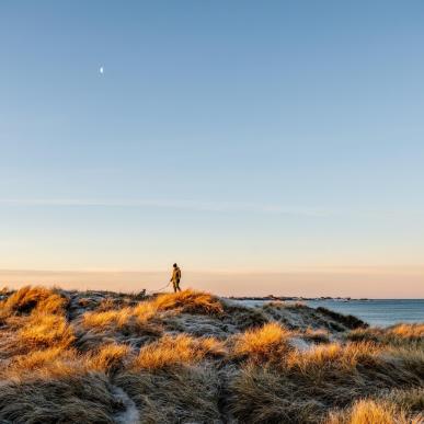 Klitmøller_Klitter_thy_efterår_vinter