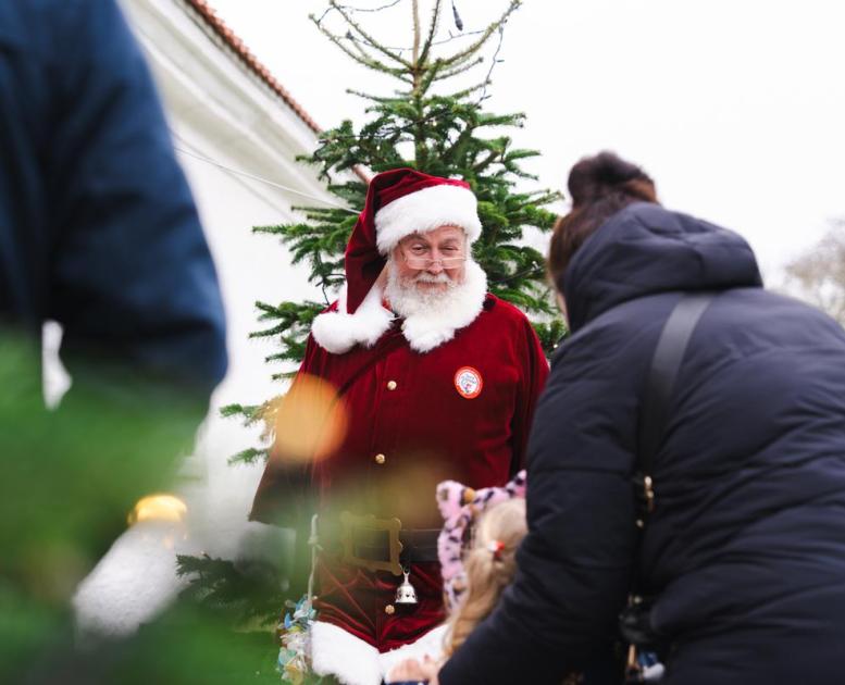 Julemand_jul på Bratskov