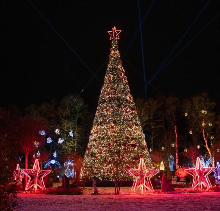 Skulpturparken Blokhus_jul